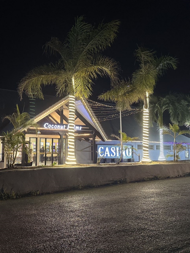 palms bet platform supported languages